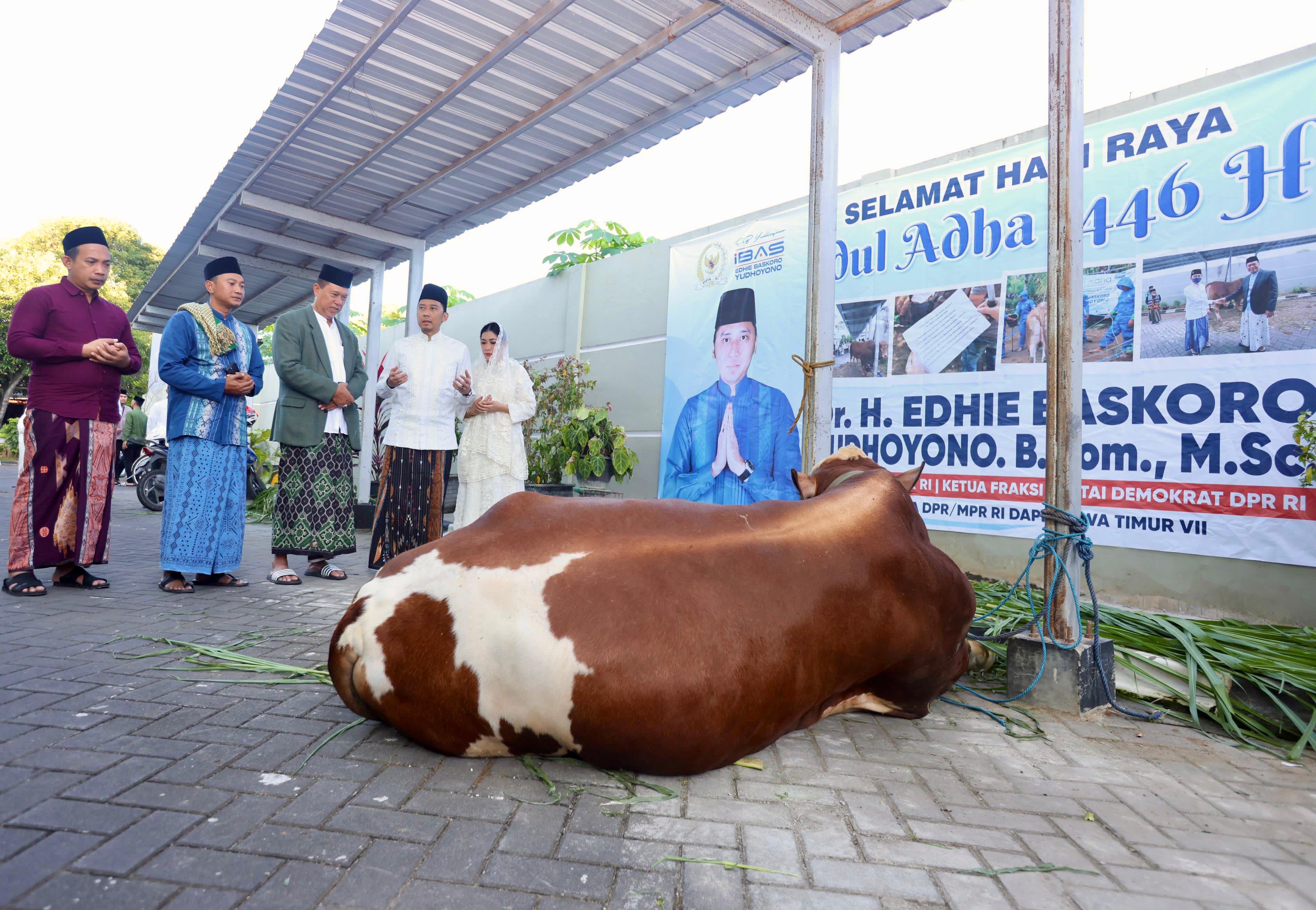 Edhie Baskoro Yudhoyono dan Istri Tunaikan Salat Idul Adha di Pacitan, Serahkan Hewan Kurban untuk Warga