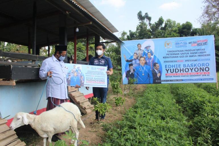 Ibas: Jangan Sampai Sapi Punya Susu, Kambing Punya Nama